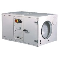 Осушитель воздуха для бассейнов Dantherm CDP 125 с электроподключением 220В