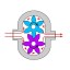 Насос шестеренчатый Fraccarolo - FA/60 - 18,5/700 300C° (FAM/60)